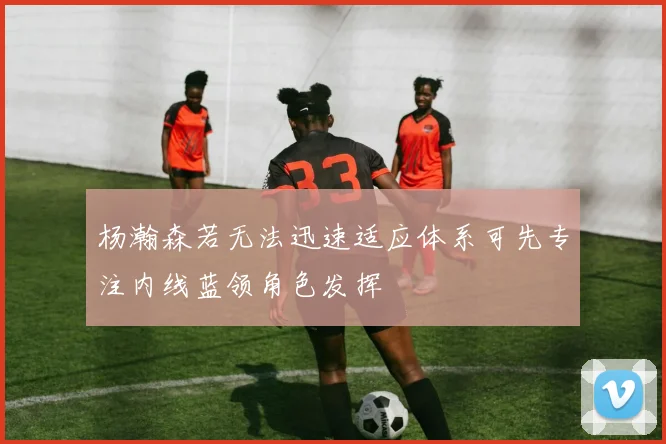 杨瀚森若无法迅速适应体系可先专注内线蓝领角色发挥