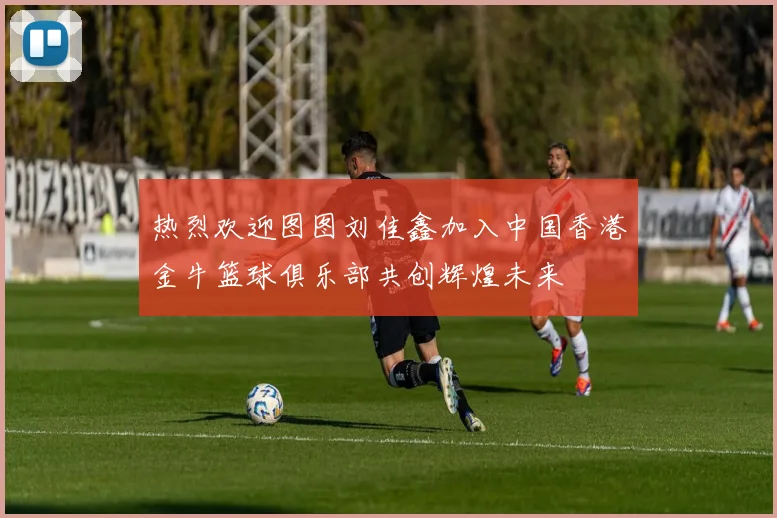 热烈欢迎图图刘佳鑫加入中国香港金牛篮球俱乐部共创辉煌未来